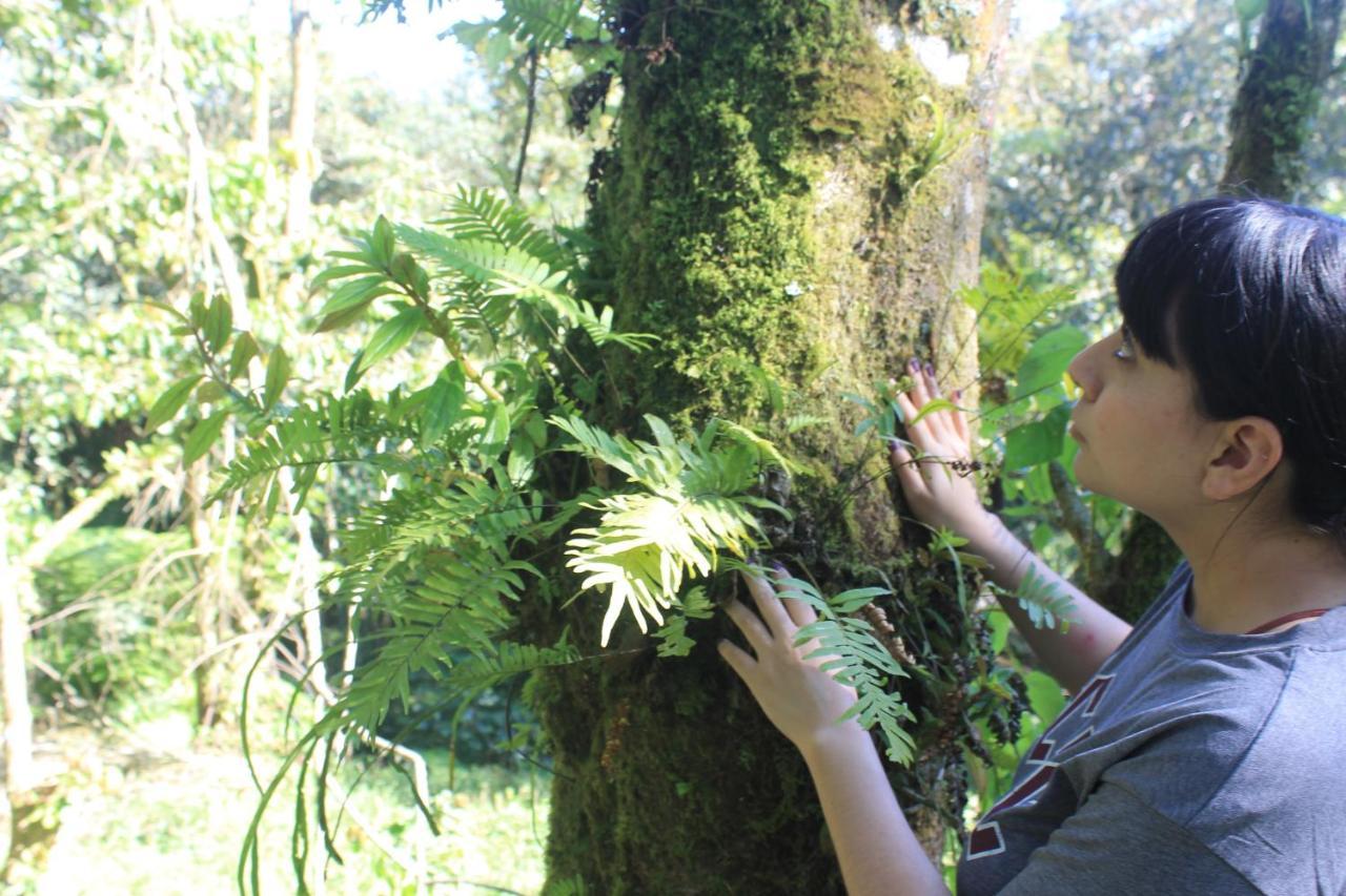 Tierra Náhuatl Cuetzalán del Progreso Exterior foto